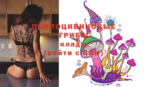 тгк Покачи