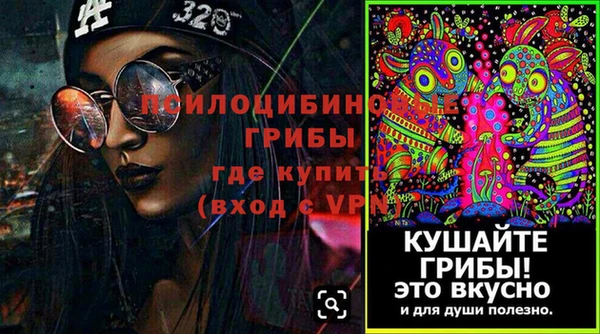 спиды Покровск