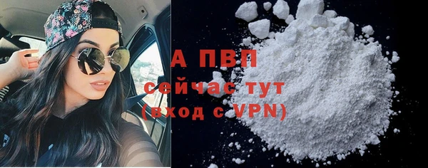 индика Горячеводский