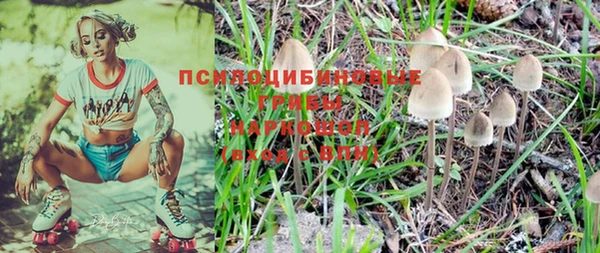 спиды Покровск